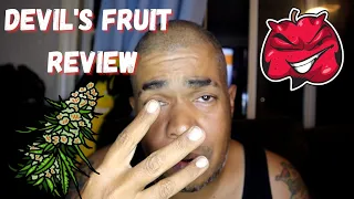 Devil's fruit review #review #new #growyourown #cannabisreviewer #growyourown