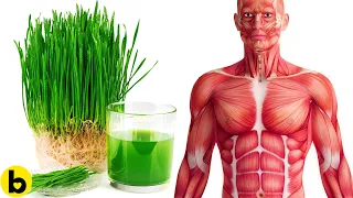 Eat Wheatgrass EVERY DAY,  This WILL Happen To Your Body