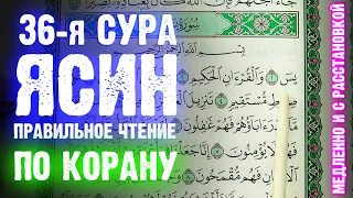 СУРА 36: «ЯСИН» («ЙА СИН») - Правильное чтение по Корану (медленно и с расстановкой)