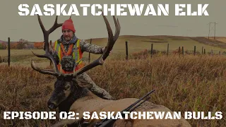 Giant Saskatchewan Elk Hunting: Saskatchewan Bulls