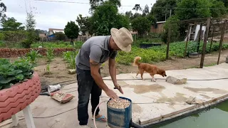 filtro caseiro para lago de peixe com menos de 10 reais