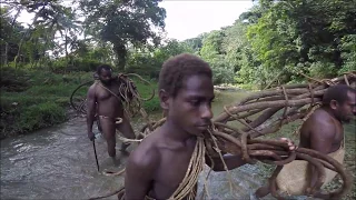 Nagol Land Diving         Pentecost Island Vanuatu