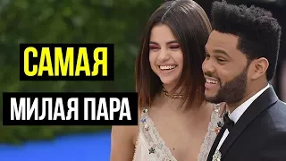 СЕЛЕНА ГОМЕС И THE WEEKND САМАЯ МИЛАЯ ПАРА /SELENA GOMEZ & THE WEEKND