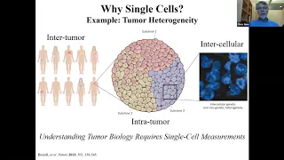 UW Rheumatology Grand Rounds - Dr. Chris Sims, 4/21/2020