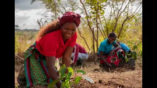 Soneva Foundation Forest Restoration in Mozambique