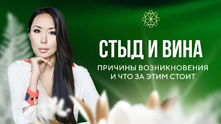 Стыд и вина. Причины возникновения и что за этим стоит