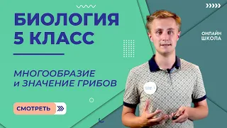 Многообразие и значение грибов. Видеоурок 24.Биология 5 класс