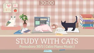 Study with Cats 🐱 Pomodoro Timer 30/5 x Animation | For busy study day | Soothing piano music❤️‍🩹