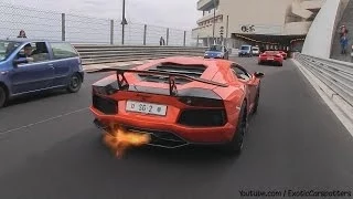 5x Lamborghini Aventador Going Crazy in Monaco - Flames | Accelerations | Revs