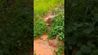 Conjunto Suassuna Jaboatão dos Guararapes