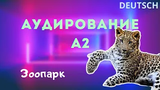 №19. Немецкий АУДИРОВАНИЕ А2 [В зоопарке: а Вы любите зоопарк?]