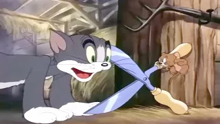 Tom and Jerry Full Episodes In English Fine Feathered Friend - Kids Cartoons TV