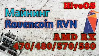 Настройка майнинга Ravencoin на видеокартах AMD RX 470/480/570/580 4Gb под HiveOS