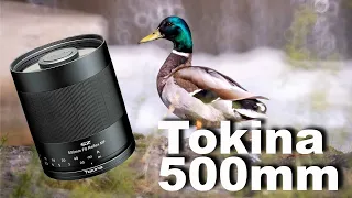 Tokina 500mm f/8 SPIEGELtele | Review Deutsch