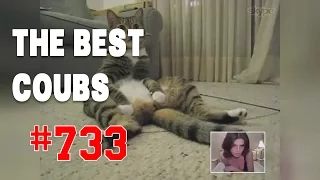 Best COUB #733 - HOT WEEKS VIDEOS