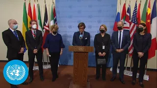 France, Germany, Ireland, Estonia, Albania, Norway & EU on Ukraine - Security Council Media Stakeout