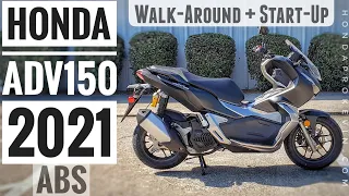 2021 Honda ADV 150 Scooter Walk-Around & Start-Up | Automatic Adventure Bike (ADV150 ABS)