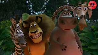 حيوانات بتحاول تهرب من حديقه الحيوان عشان يعرفوا يعيشوا حياه اجمل في البريه ملخص فيلم Madagascar