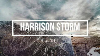 Harrison Storm - How to help (Lyrics Video)