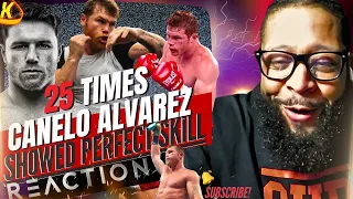 25 Times Canelo Alvarez Showed Perfect Skill | REACTION !!!