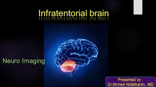 2-Anatomy of the infratentorial brain