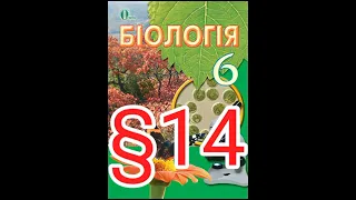 Параграф 14 "Різноманітність та значення бактерій у природі"//Шкільна програма 6 клас.