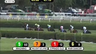 Main Sequence - 2014 Sword Dancer (G1)