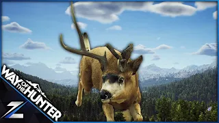 Abnormal Antlers on Mule Deer in Way of the Hunter - Hollywood!