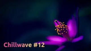 Relaxing wave #Chillwave 12 | Музыка для отдыха и концентрации