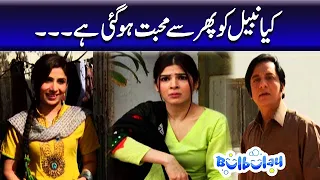 Kya Nabeel Ko Phir Se Mohabbat Hogai Hai - Khoobsurat | Bulbulay