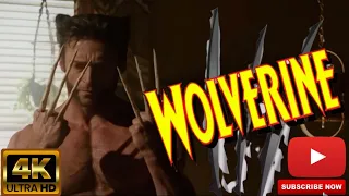 Wolverine -Bone claws popping up Scene#4k