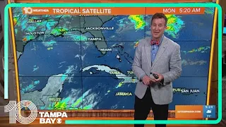 Tracking the Tropics: All quiet after short-lived Tropical Storm Arlene