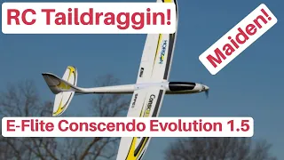 RC Taildraggin! E-Flite Conscendo Evolution 1.5 MAIDEN!