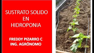 HIDROPONIA CULTIVO EN SUSTRATO SOLIDO