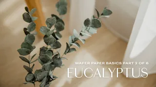 Wafer Paper Flowers Basics for Beginners: Eucalyptus (Part 2/6)