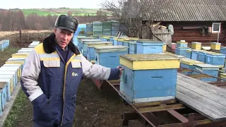 В гостях на пасеке у Анисимова.В.  Пчеловождение .Переход с Рута на Дадан