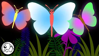 Baby Sensory - Happy Butterfly Dance! - Butterflies and more with Fun and Playful Animation!