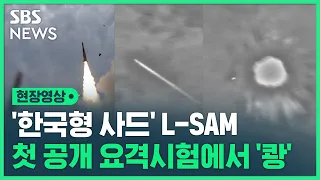 '한국형 사드' L-SAM 실사격 첫 공개…"요격 성공" (현장영상) / SBS