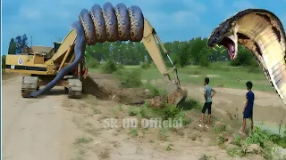 CAT The Excavator Loading Trucks Scary With Big Snake During New Road Construction