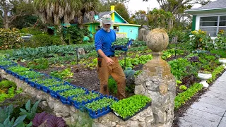 He Plants Over 25,000 Soil Blocks Every Year!