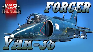 THE YAK-38 EXPERIENCE