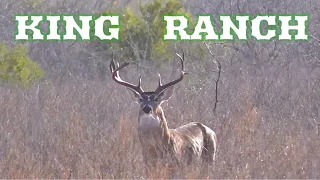 Hunting the King Ranch in Kingsville Texas