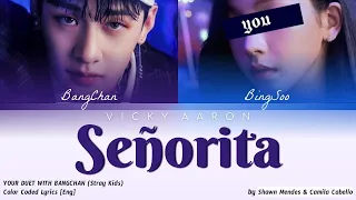 Your duet with BangChan (StrayKids) 'Señorita' by Shawn Mendes Camila Cabello Color Coded Lyrics Eng