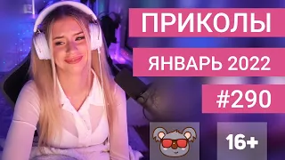 😂 ЛУЧШИЕ ПРИКОЛЫ ЯНВАРЬ 2022 | Я РЖАЛ ДО СЛЕЗ | Выпуск №290