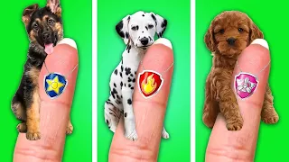 Save This Cute Little Puppy! 😢Clever Hacks for Pet Owners! *We Adopted Paw Patrol* by Kaboom!