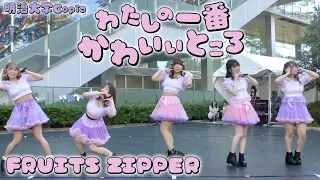 【明治大学Copia】わたしの一番かわいいところ/FRUITS ZIPPER  踊ってみた