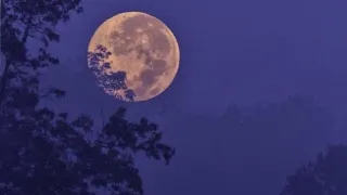 watching the moonrise - a playlist