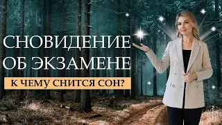 К чему снится экзамен? Сон про экзамены #сонник_онлайн