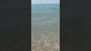 Море в Гудауте 🏖️ лето '22 р-н Замостянка Абхазия Abkhazia Apsny Gudauta Black sea