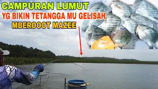 Mberot Iwak'e Mazee !! CAMPURAN LUMUT Untuk Mancing Ikan NiLa Liar